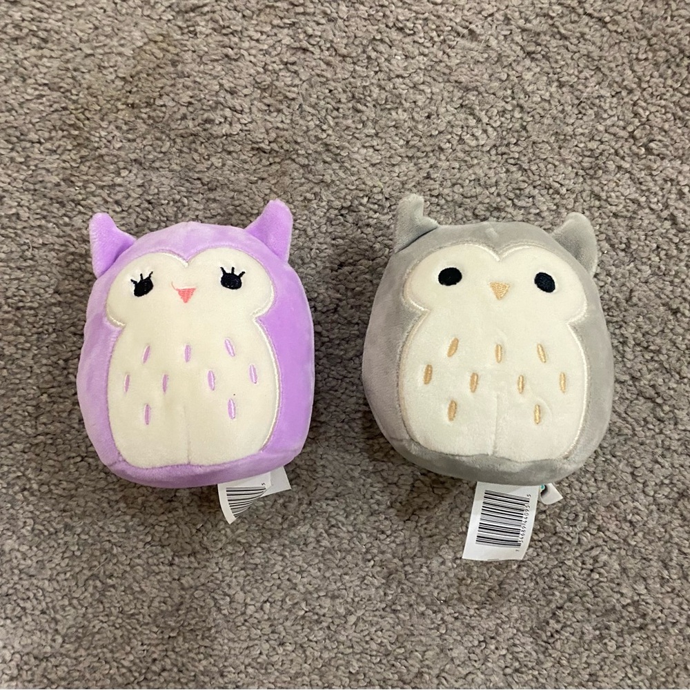 Squishmallow Owls Holly & Hoot